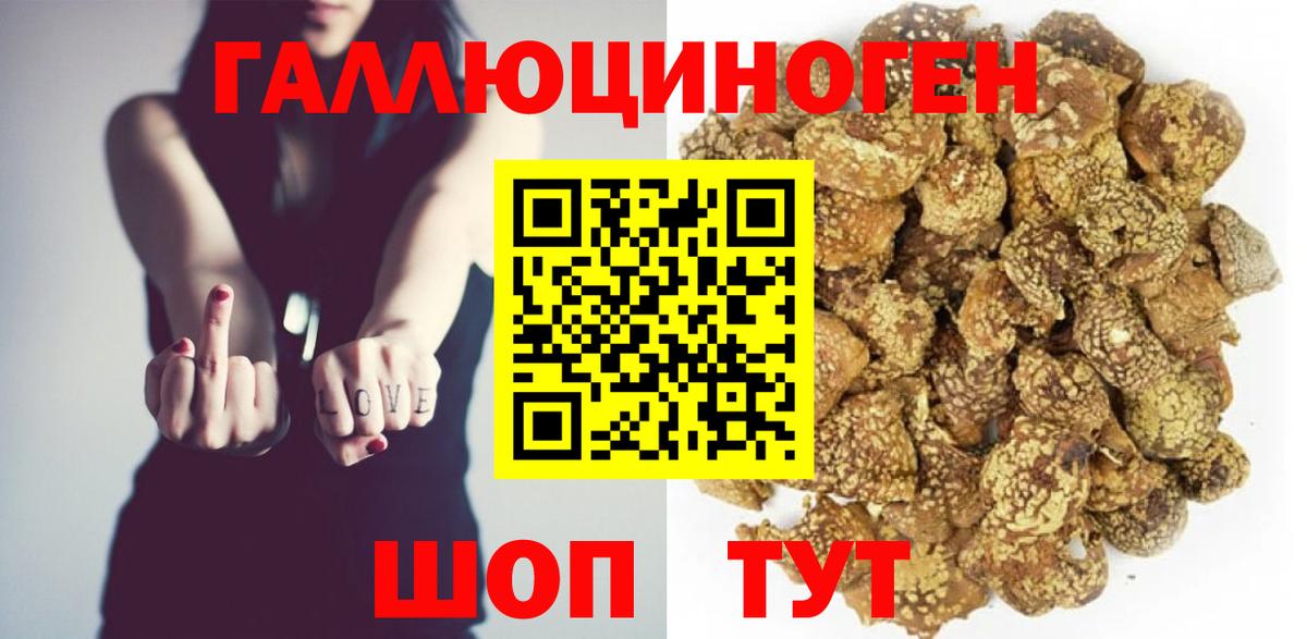 Галлюциногенные грибы Cubensis Пенза